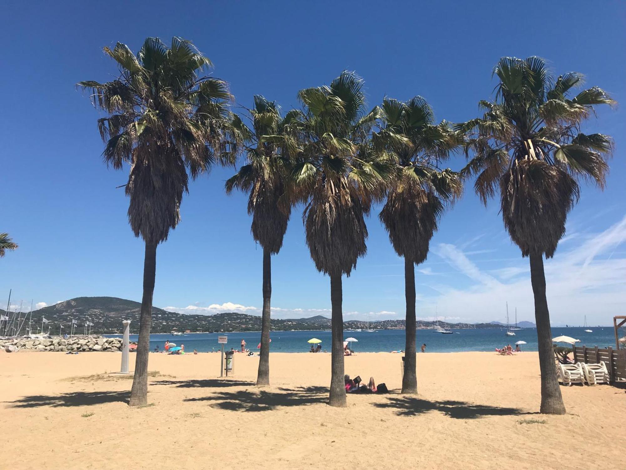 גאסה Gasyan - Golfe De St-Tropez - Appartement Aves Acces Plage Dans Residence Avec Piscine מראה חיצוני תמונה